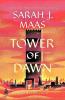 Cover image of Tower of dawn