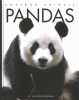 Cover image of Pandas