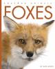 Cover image of Foxes