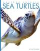 Cover image of Sea turtles