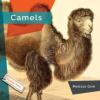 Cover image of Camels