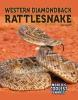 Cover image of Western diamondback rattlesnake