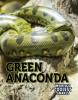 Cover image of Green anaconda