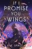 Cover image of If I promise you wings