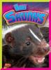 Cover image of Baby skunks