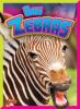 Cover image of Baby zebras