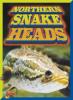 Cover image of Northern snakeheads