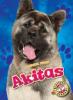 Cover image of Akitas