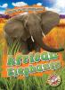 Cover image of African elephants