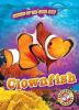 Cover image of Clownfish