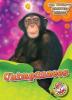 Cover image of Chimpanzees