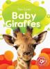 Cover image of Baby Giraffes