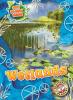 Cover image of Wetlands