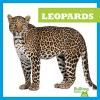 Cover image of Leopards