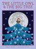 Cover image of The little owl & the big tree