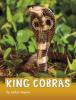 Cover image of King cobras