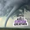 Cover image of The world's wildest weather