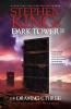 Cover image of The dark tower, the drawing of the three