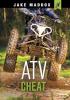 Cover image of ATV cheat