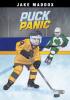 Cover image of Puck panic