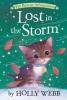 Cover image of Lost in the storm