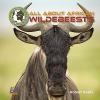 Cover image of All about African wildebeests