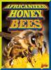 Cover image of Africanized honeybees