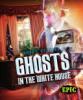 Cover image of Ghosts in the White House