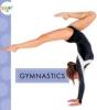 Cover image of Gymnastics