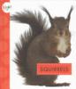 Cover image of Squirrels