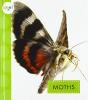 Cover image of Moths