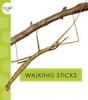 Cover image of Walking sticks