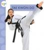 Cover image of Tae kwon do