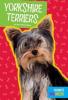 Cover image of Yorkshire terriers