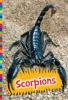 Cover image of Scorpions