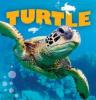 Cover image of Sea turtle