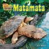 Cover image of Matamata