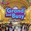 Cover image of Grand and busy