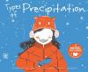 Cover image of Types of precipitation