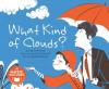 Cover image of What kinds of clouds?