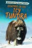 Cover image of Creatures in the icy tundra