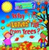 Cover image of Why do leaves fall from trees?