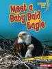 Cover image of Meet a baby bald eagle