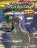 Cover image of Freshwater pond animals