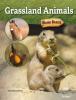 Cover image of Grassland animals