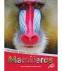 Cover image of Mamiferos