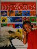 Cover image of First 1000 words