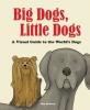 Cover image of Big dogs, little dogs