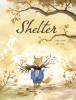 Cover image of Shelter