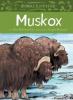 Cover image of Muskox
